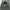 Buckaroo Camouflage Floral Pattern Jacket photo 2