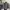 Buckaroo Camouflage Floral Pattern Jacket photo 1