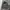 Buckaroo Camouflage Floral Pattern Jacket photo 1