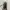 Bootleg Vintage Eagle Diamond eyes (biar kayak Travis Scott) photo 1