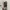 Bootleg Vintage Eagle Diamond eyes (biar kayak Travis Scott) photo 2