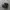 nike TN photo 1