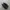 nike TN photo 3