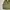 M65 Military Jacket US photo 3