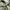 M65 Military Jacket US photo 5