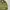 M65 Military Jacket US photo 2