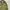 M65 Military Jacket US