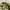 M65 Military Jacket US photo 6