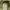 M65 Military Jacket US photo 4