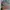 Von Dutch Vintage Streetwear Hat Multicolor