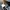 Von Dutch Vintage Streetwear Hat Pria multicolor photo 3
