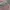 Von Dutch Vintage Streetwear Hat Pria multicolor photo 6