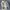 Converse Streetwear Skater Sneakers Pria white blue photo 7