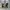 Converse Streetwear Skater Sneakers Pria white blue photo 5