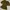 Zara Casual Crop top Wanita multicolor photo 2
