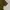 Zara Casual Crop top Wanita multicolor photo 4