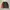 Kenzo Luxury Casual Sweatshirt Pria multicolor photo 1