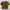 Y2K Crop top Wanita brown photo 3