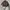 Jacket parka art ifwassixnine  photo 1
