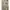 RAMUNE FLOWER WHITE DRESS ORIGINAL photo 2