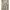 RAMUNE FLOWER WHITE DRESS ORIGINAL photo 1