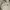 RAMUNE FLOWER WHITE DRESS ORIGINAL photo 3