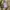 UNIQLO JW ANDERSON CARGO BALLON PANTS KHAKI photo 5