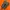 Nike tn plus 3 photo 5