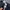 Champion Casual Sweater Pria navy photo 3