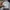 Crewneck dickies two tone 1922 photo 7
