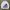 Crewneck Adidas big logo photo 1