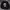 Crewneck Zara man Skull photo 1