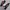 ADIDAS SHANGHAI 1/2020 photo 2