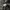Browny MA 1 Type Bomber Jacket photo 7