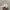 New Era LA black logo original 100% photo 2
