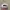 New Era LA black logo original 100% photo 3