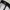 New Era LA black logo original 100% photo 6