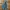 EDWIN 505 BLUE WASH SELVEDGE JEANS 
