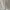 Coquette Babydoll dress Wanita white photo 3