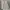 Coquette Babydoll dress Wanita white photo 4