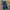 LEVI’S Lot 505 BLUE WASH JEANS  photo 3