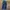 LEVI’S Lot 505 BLUE WASH JEANS  photo 4