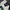 Longpants Dickies / Celana Dickies photo 7