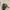 Cabelas big logo realtree hats photo 2