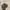 Cabelas big logo realtree hats photo 3