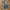EDWIN Lot 403 BLUE WASH STRAIGHT JEANS 