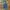 EDWIN lot 403 BLUE WASH STRAIGHT JEANS  photo 2