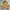 Carhartt Vintage Streetwear Denim jacket Pria tan brown photo 6
