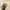 GW black font realtree hats photo 2
