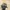 GW black font realtree hats photo 3